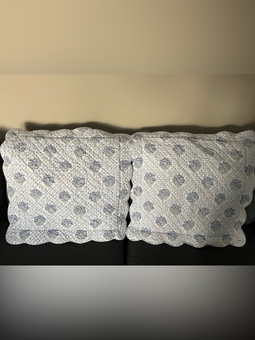 2 Pine Cone Hill Quilted EuroShams
